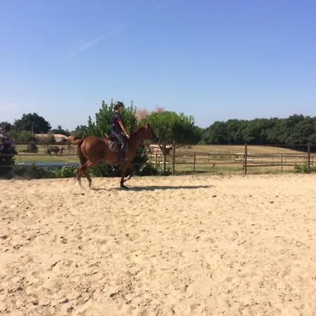 Country house A 10kms Albi Au Milieu Des Chevaux